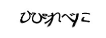 Authentication image