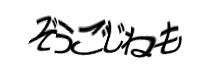 Authentication image